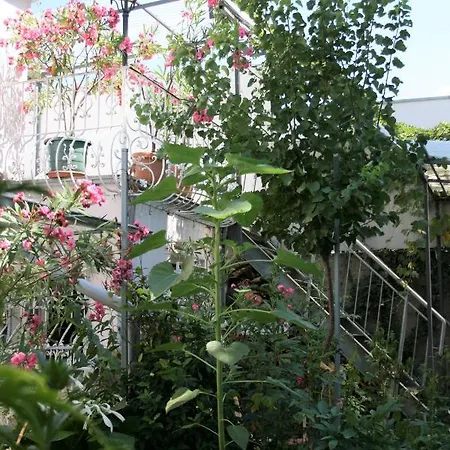 Terasenappartement *